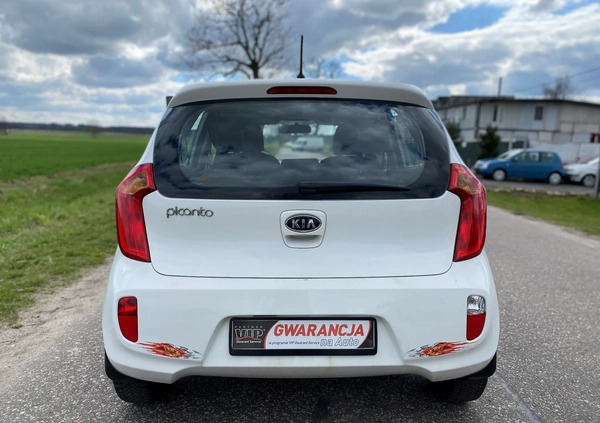 Kia Picanto cena 16900 przebieg: 140001, rok produkcji 2011 z Nowe Skalmierzyce małe 781